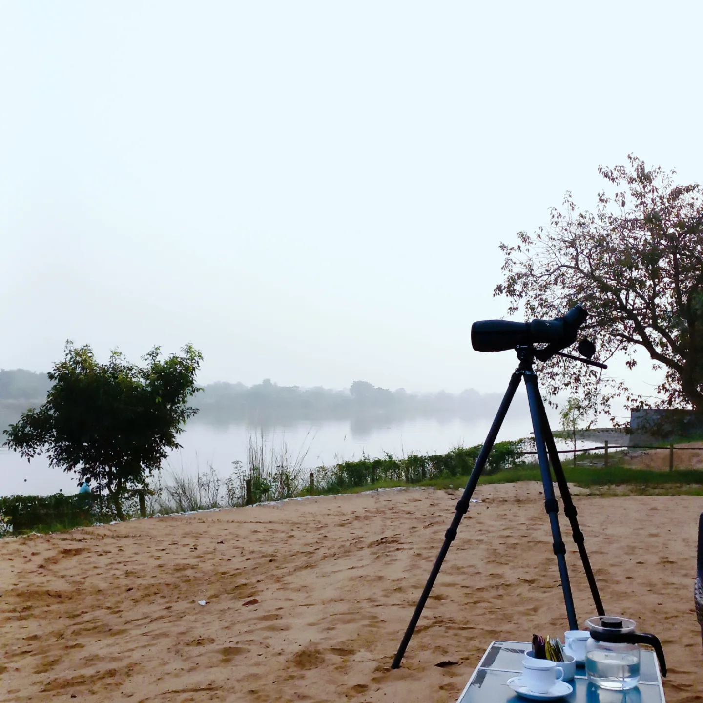 Bird Watching & Wildlife Photography Expedition at Killa Aul Palace